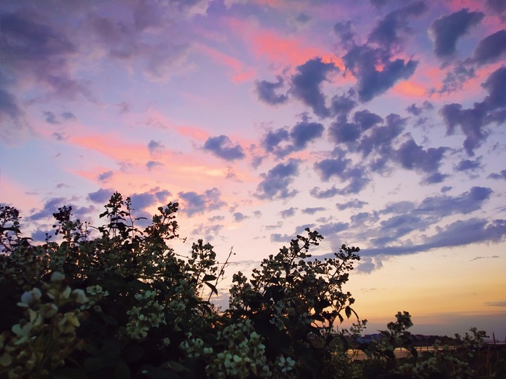 summer sunset