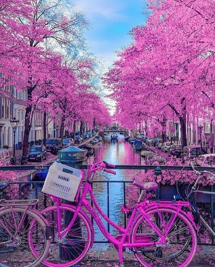 netherland