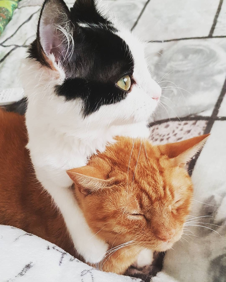 I got you my friend.