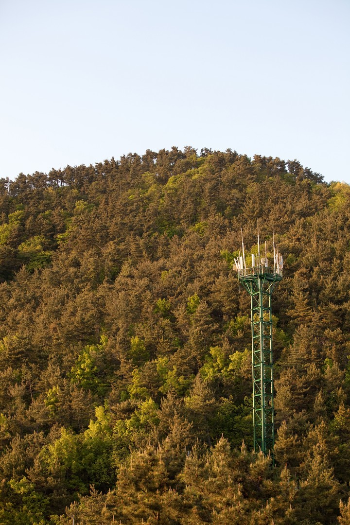Mountain
