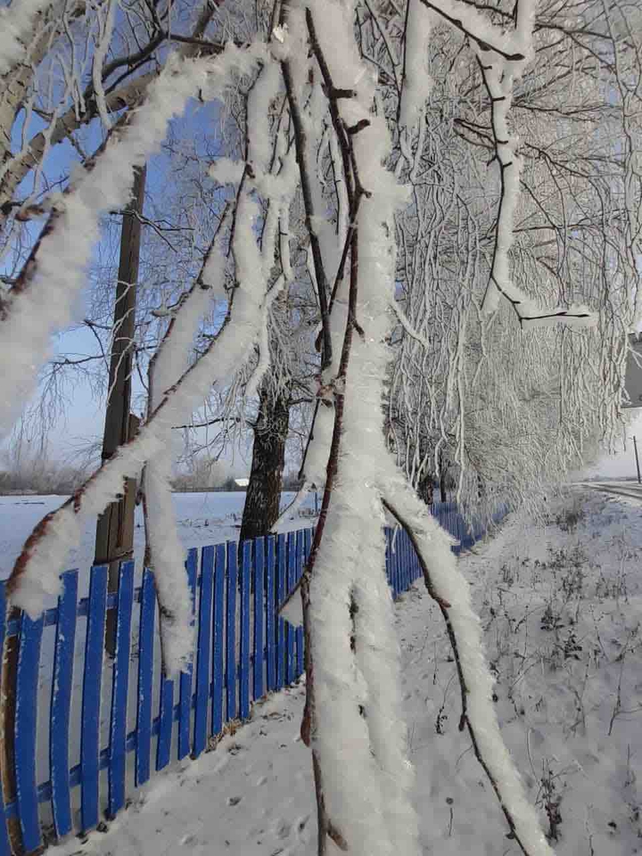 зима