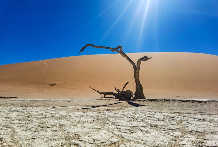 Deadvlei, Sossusvlei, Namibia