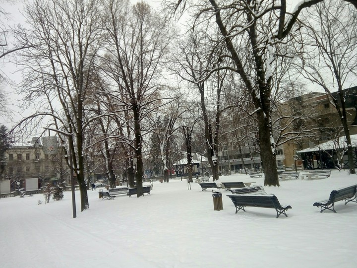 winter park