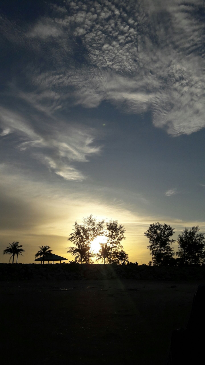 afternoon