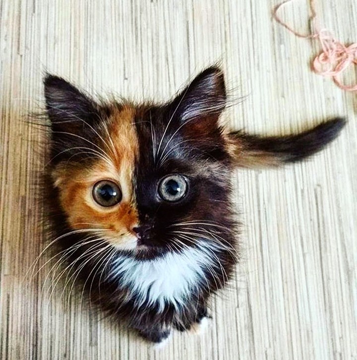 It's so fantastic