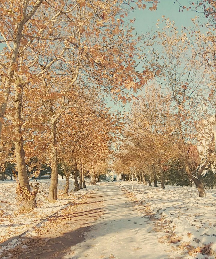 Winter