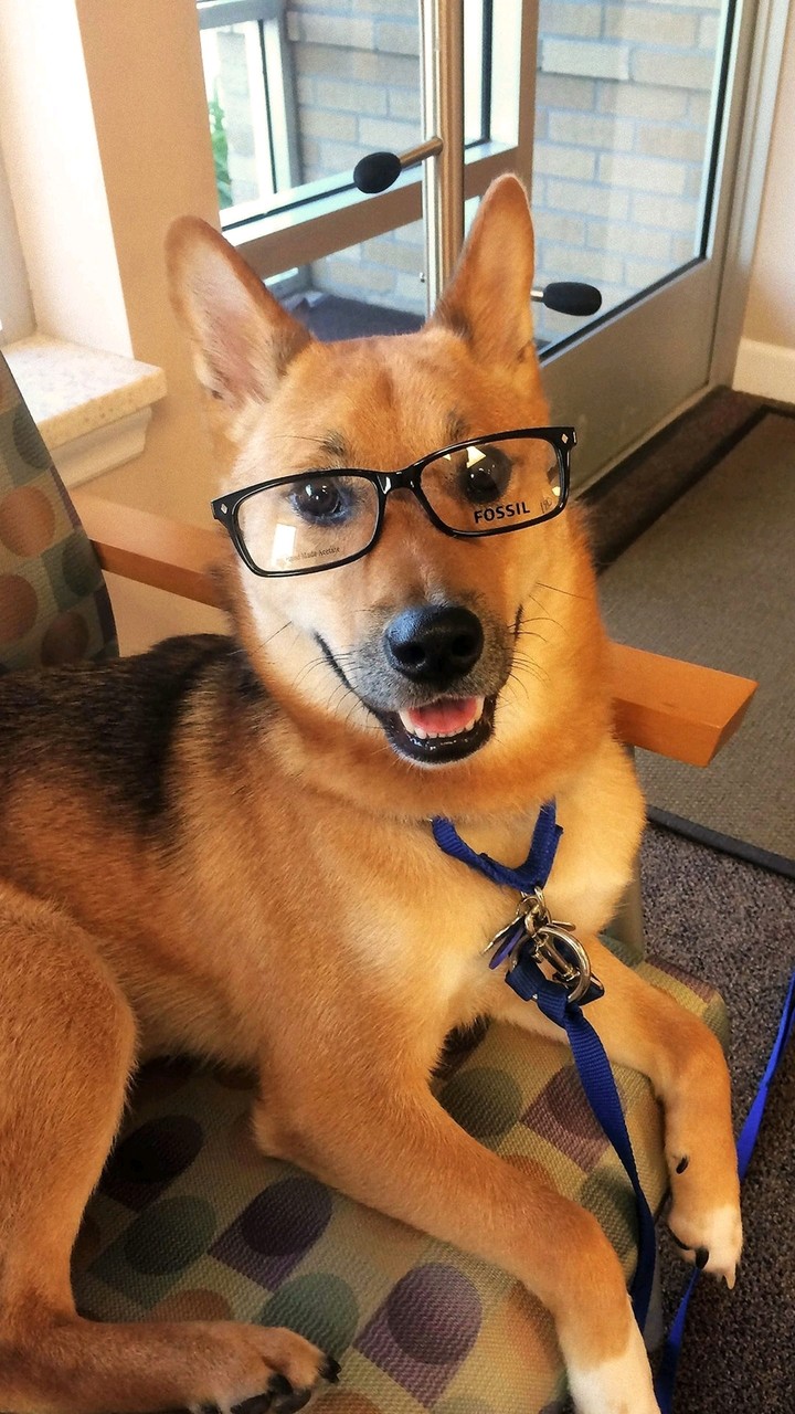 Dag