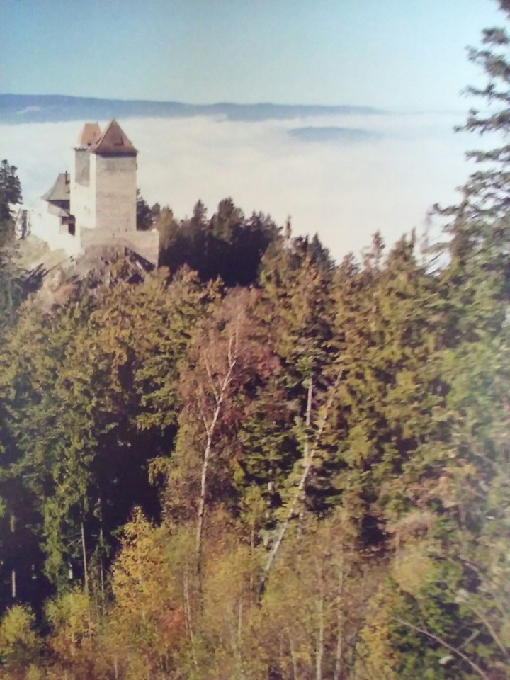 Castle