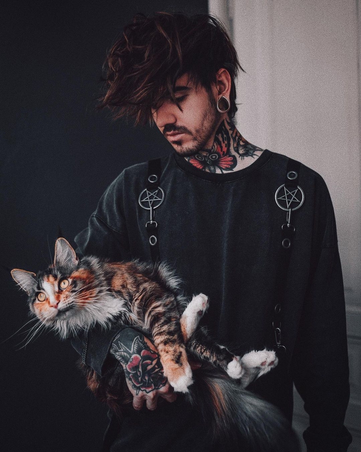 Tattoo boy. brown cat