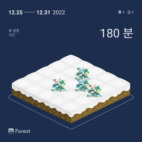 pattern, Dishware桌布