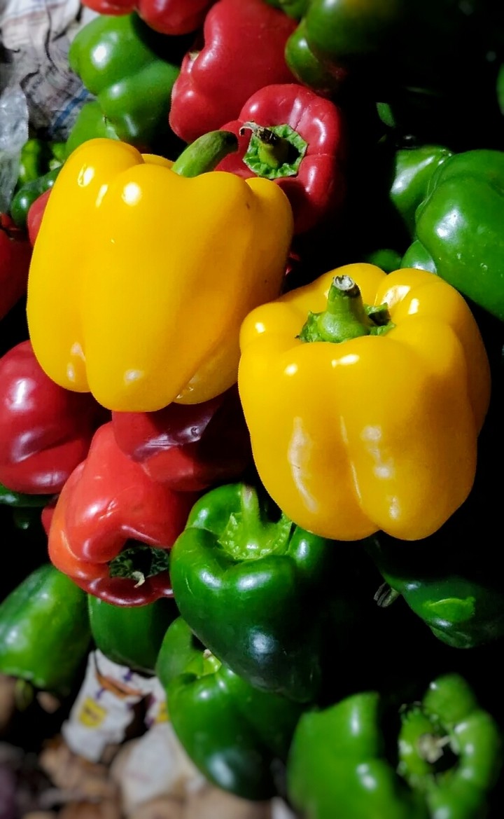 color ur life with vege!!(｀∀´)