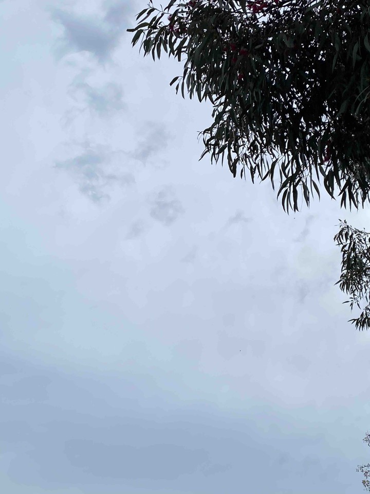 雲淡風輕