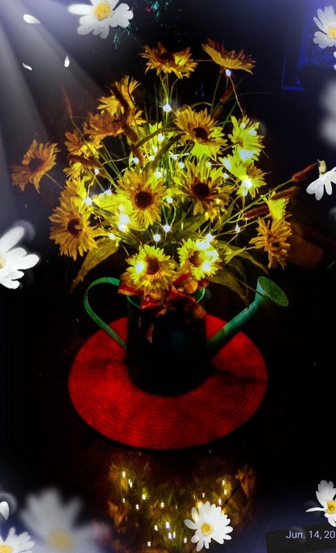 black-eyed susans