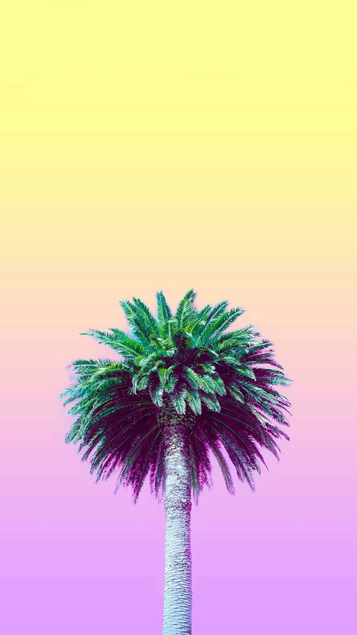 :)