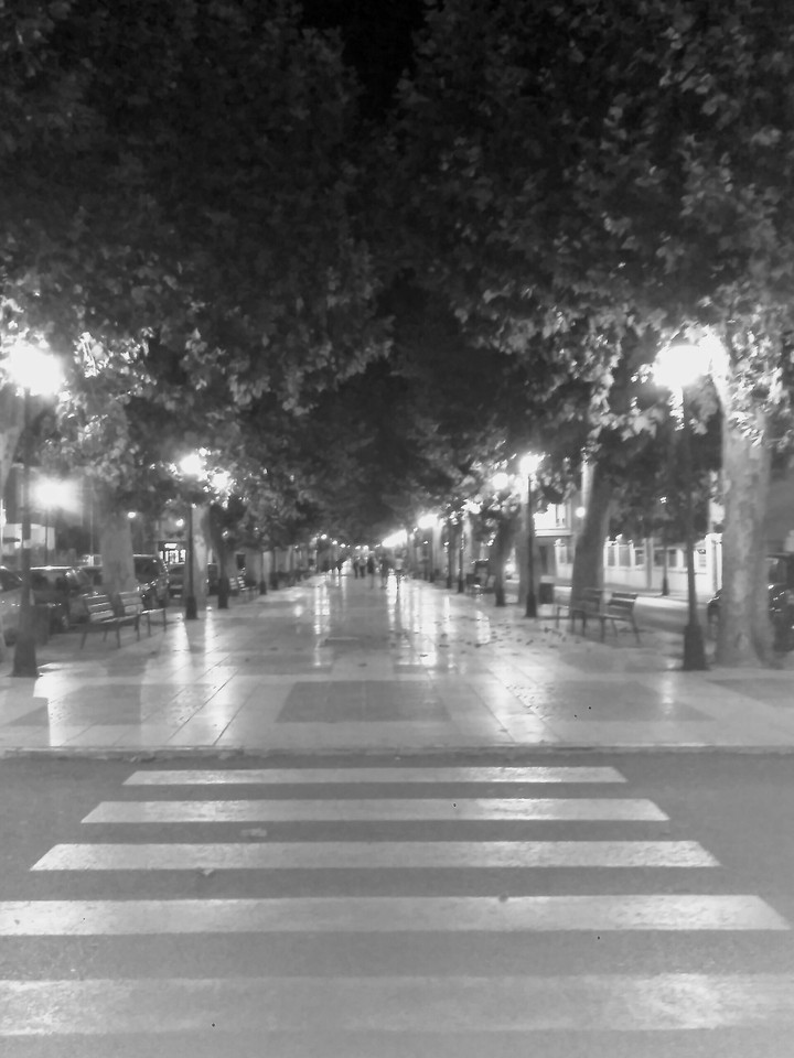 es passeig de requena
