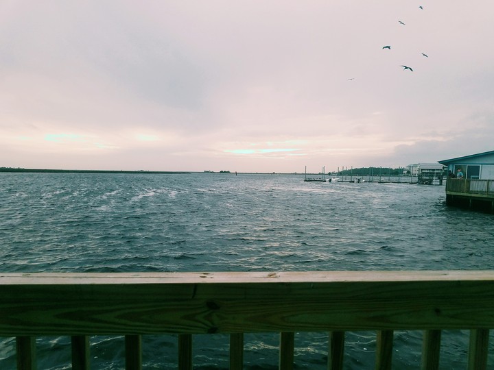 gray harbor