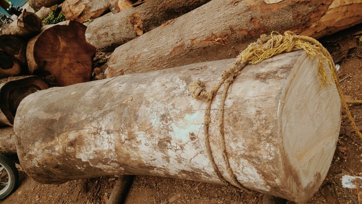 wood