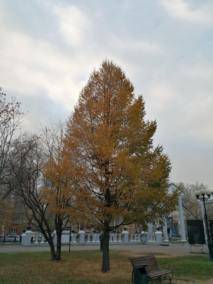 park