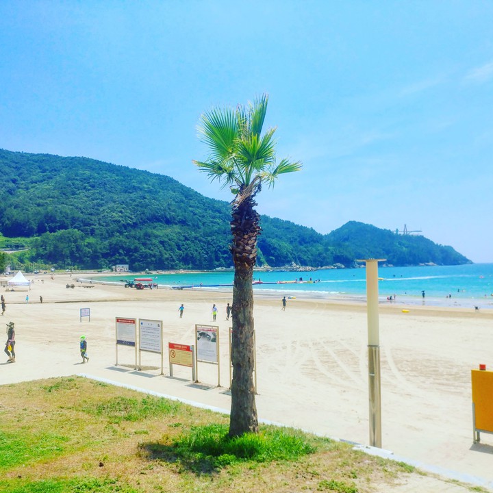 송정해수욕장
