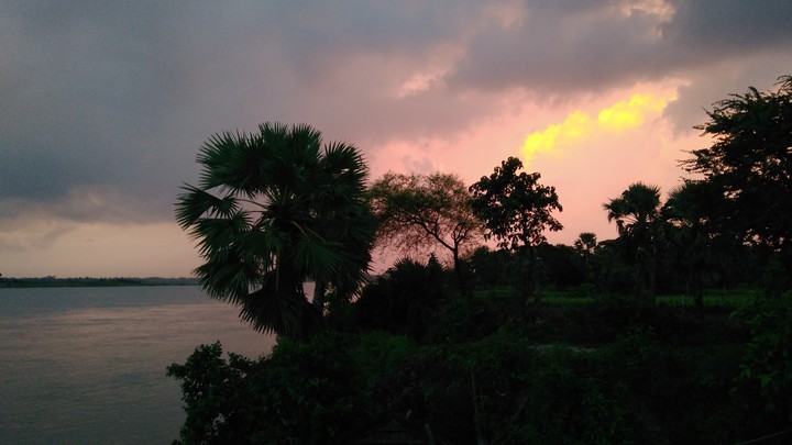 EVENING calling