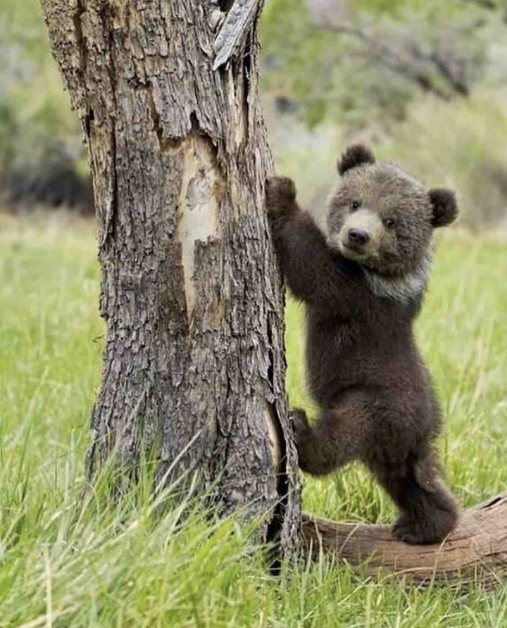 ?
