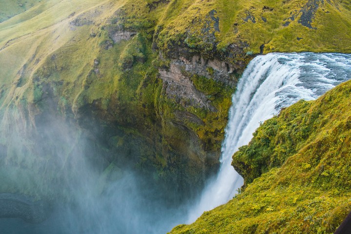 amazing nature