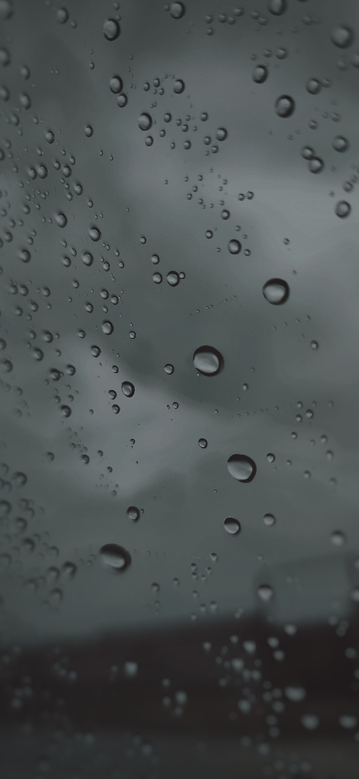 Rain
