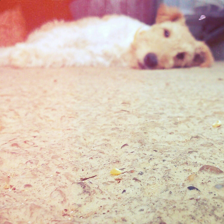 Molly