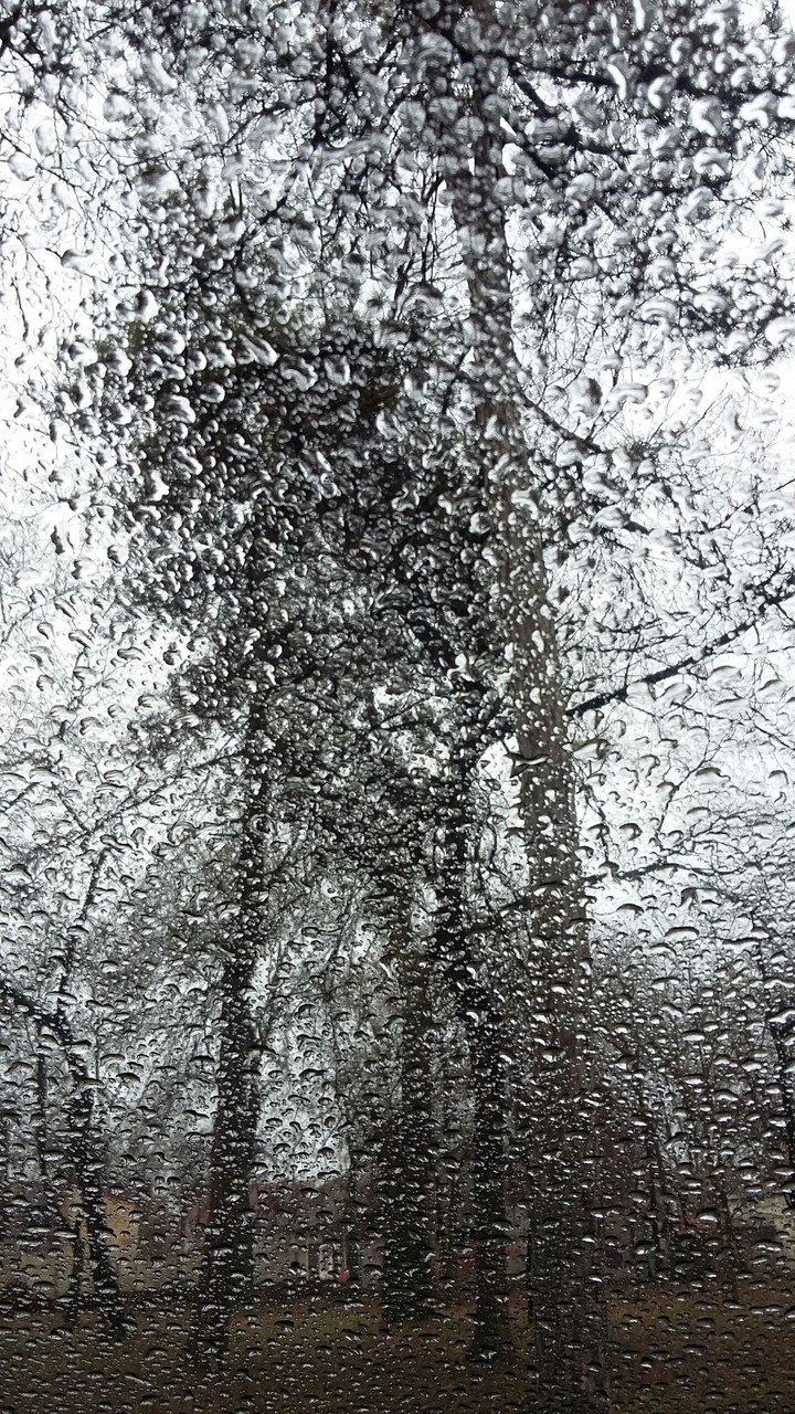 rain