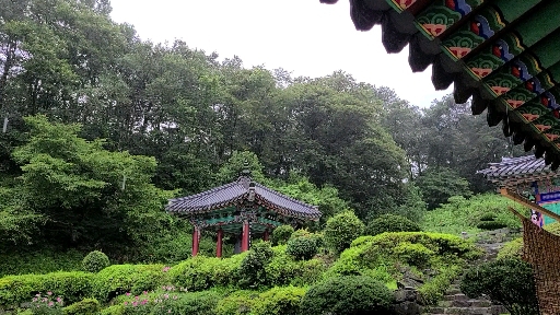 여름비