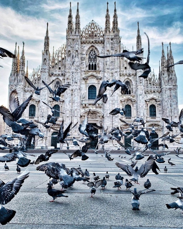 Milan Cathedral