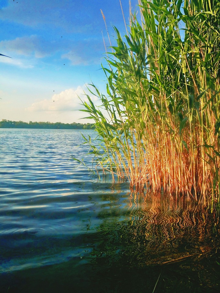 lake view
