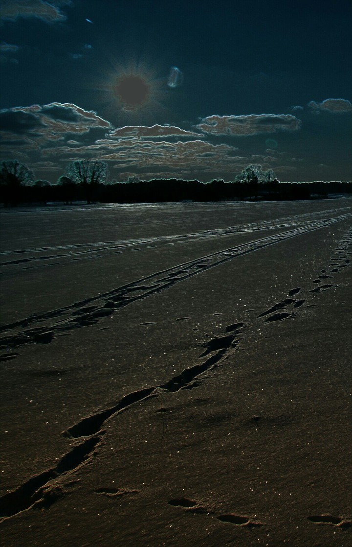 Winter by night