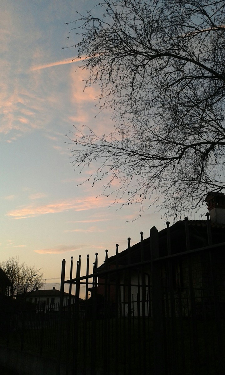 ALBA