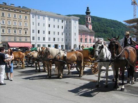 Horse