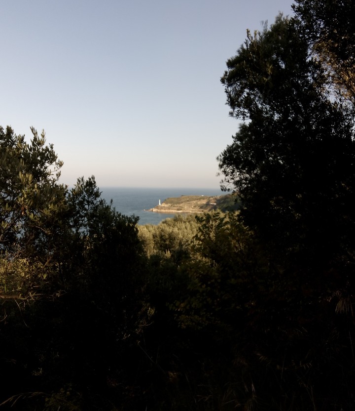 manzara