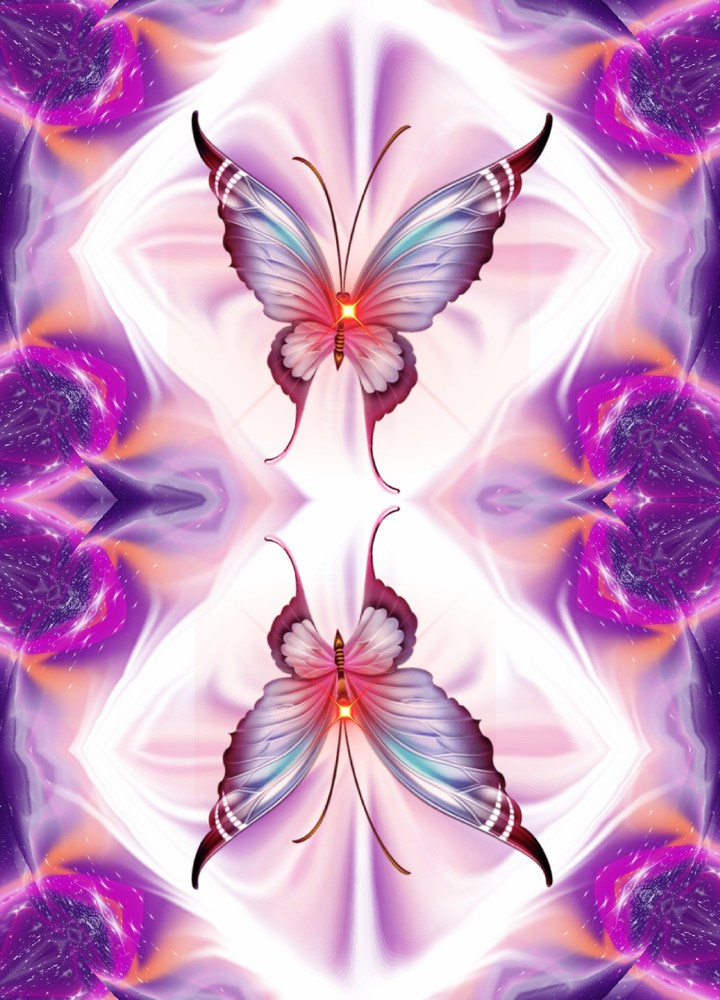 butterfly