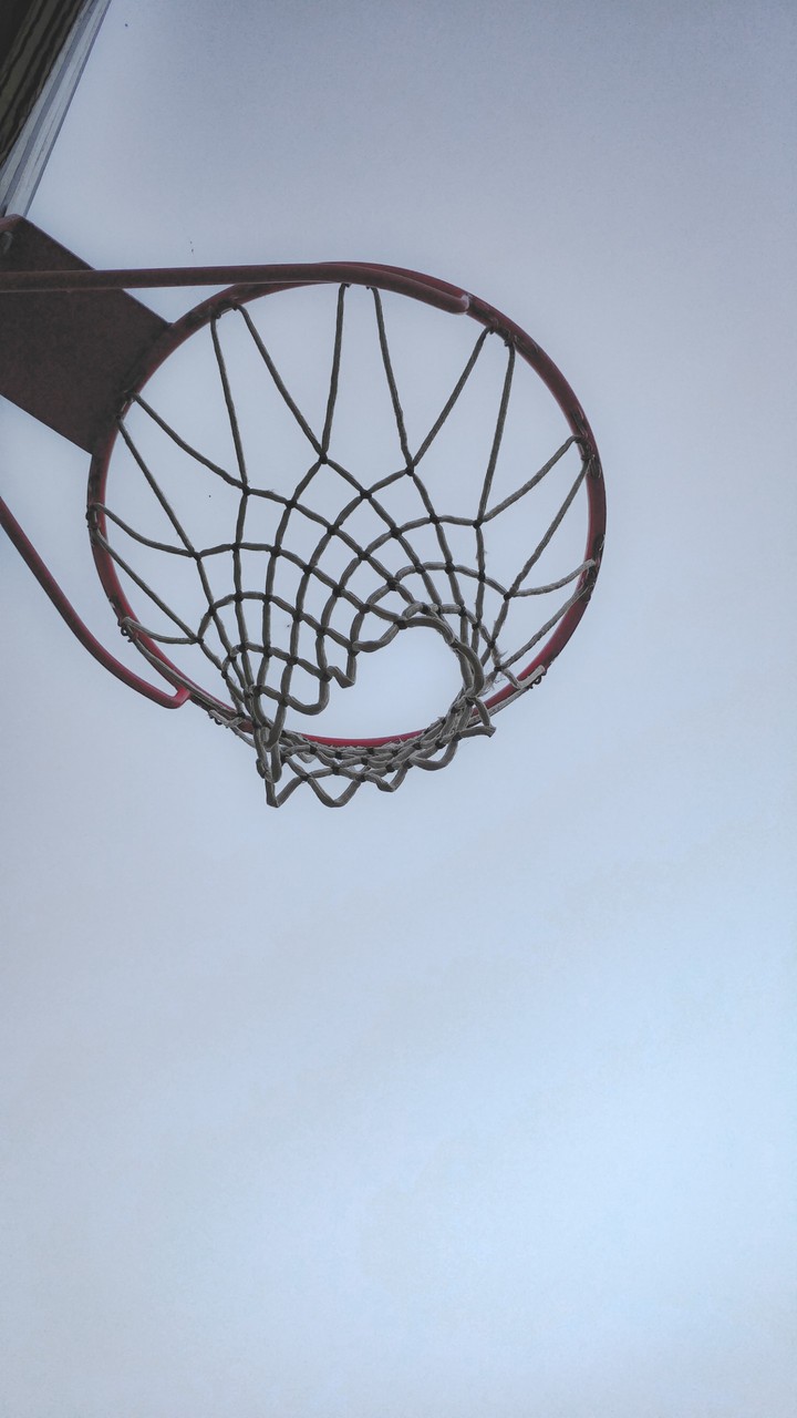 Basket