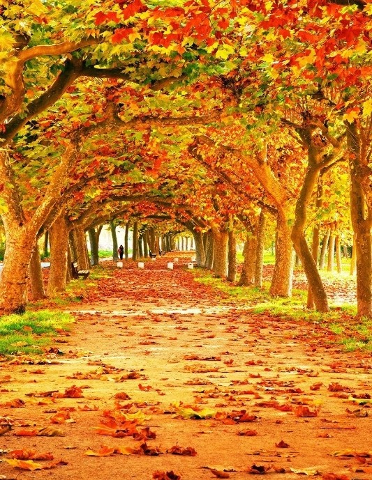 Herbst