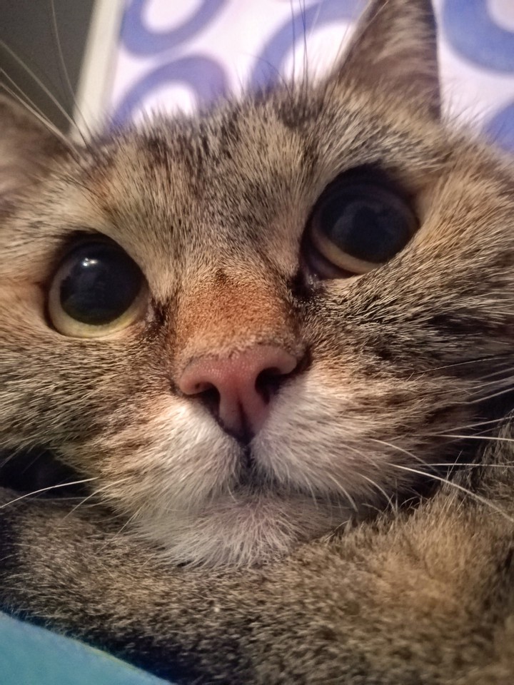 What?