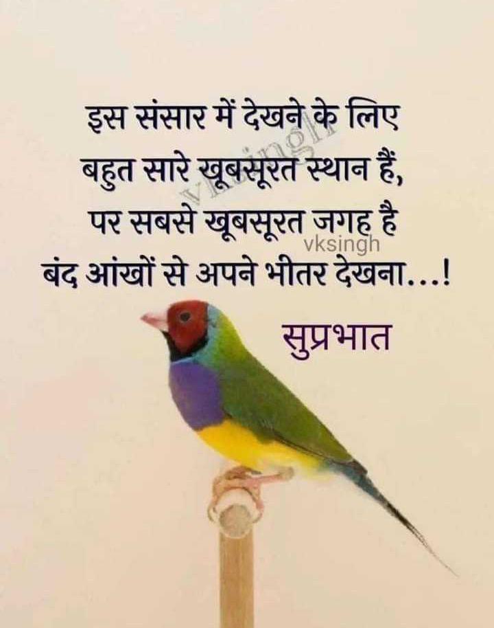 True
