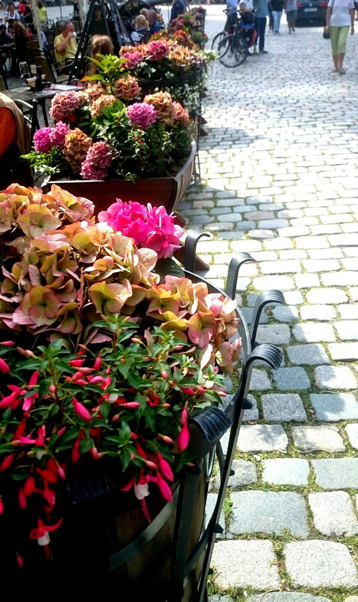 Colorful Dresden
