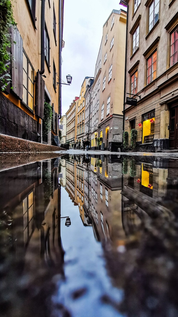 el reflejo