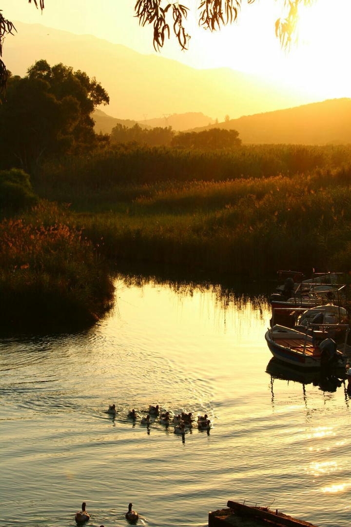 Sommer Evening