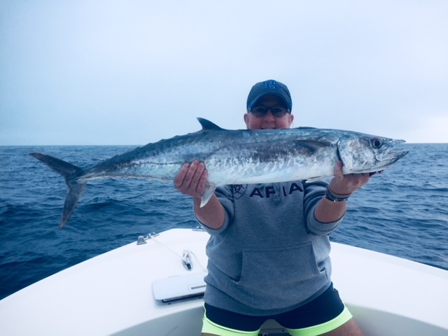 King Mackerel