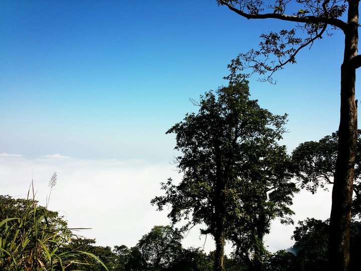 Cloud sea