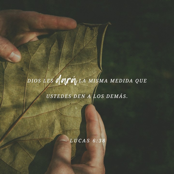 versículos