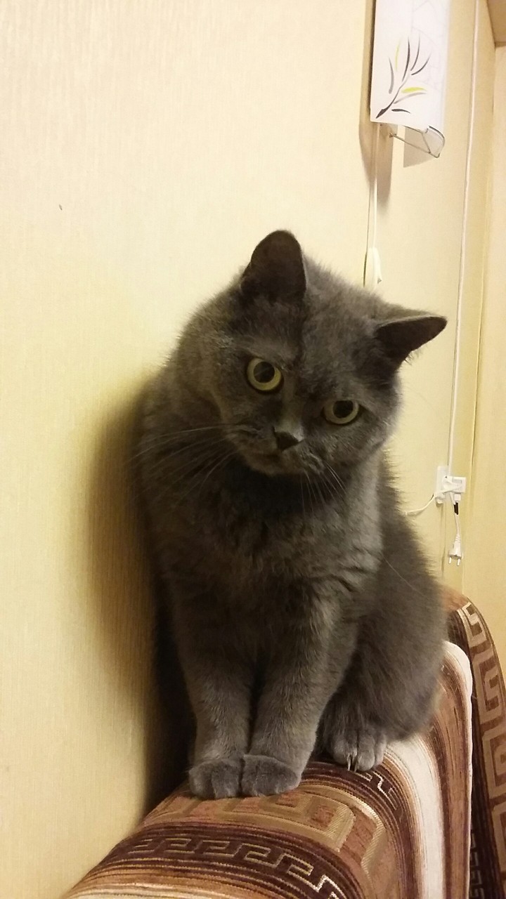 Милашечка