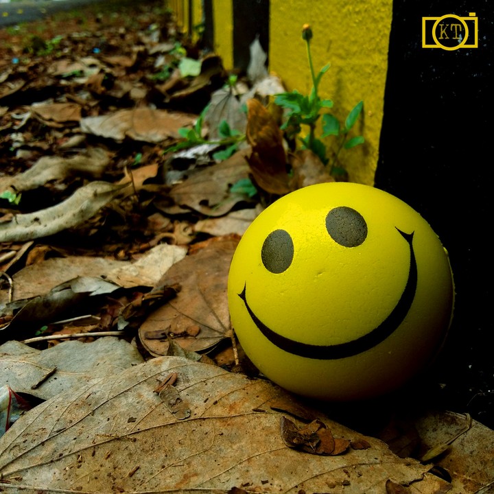 smile