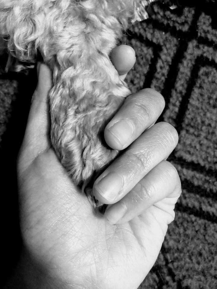 My love 